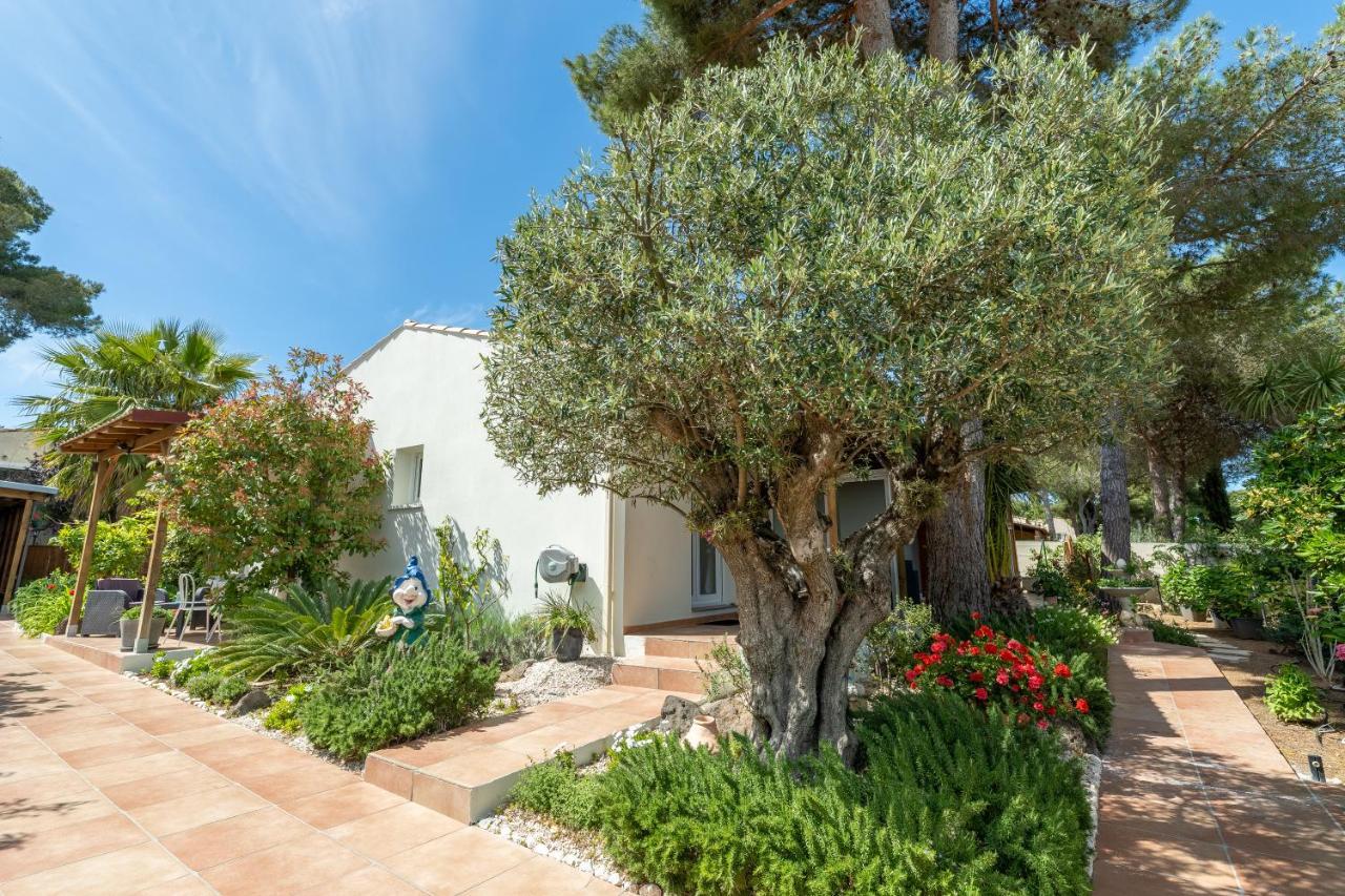 La Villa De L'Olivier Agde Eksteriør bilde